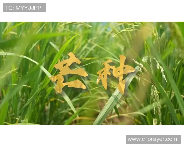 芒种时节的足球操:在运动中感受自然的节气魅力与团队精神 芒种时节的足球操:在运动中感受自然的节气魅力与团队精神