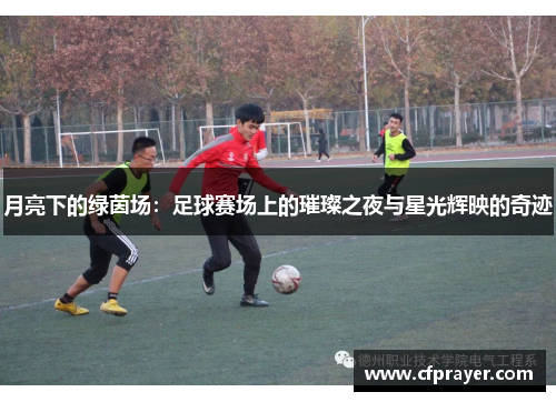 月亮下的绿茵场：足球赛场上的璀璨之夜与星光辉映的奇迹