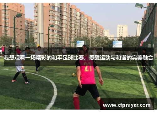 我想观看一场精彩的和平足球比赛，感受运动与和谐的完美融合