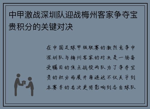 中甲激战深圳队迎战梅州客家争夺宝贵积分的关键对决